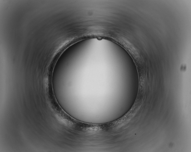 X0000100330112200806121137