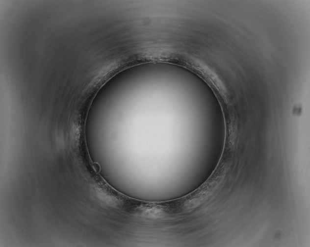 X0000100330113200806121137