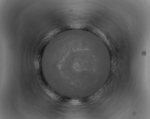 X0000100330114200806121137