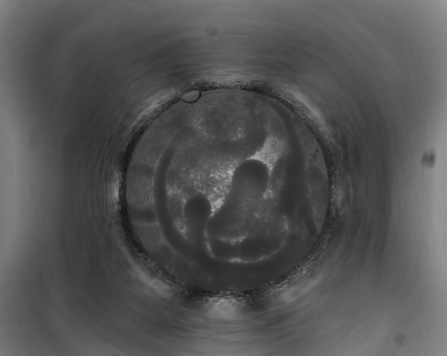 X0000100330115200806121137