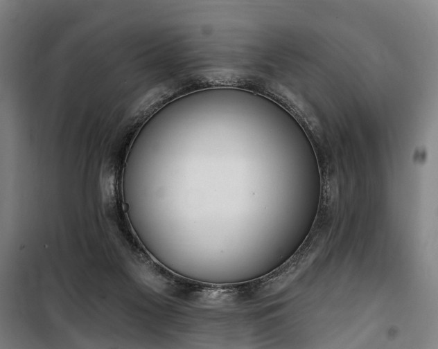 X0000100330117200806121137