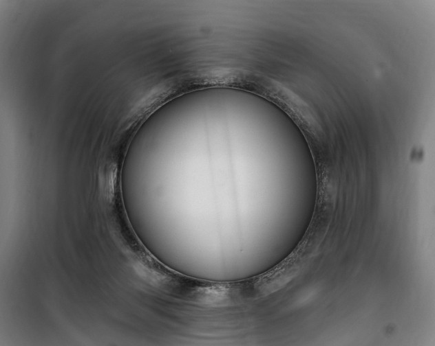 X0000100330118200806121137