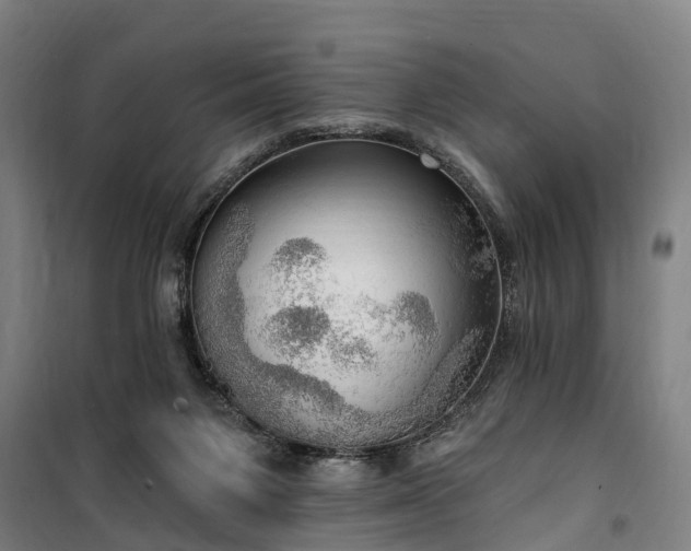 X0000100330119200806121136