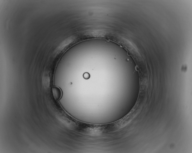 X0000100330120200806121136