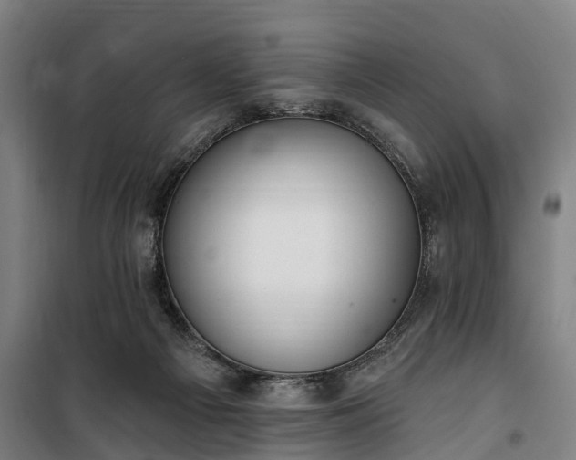 X0000100330121200806121136