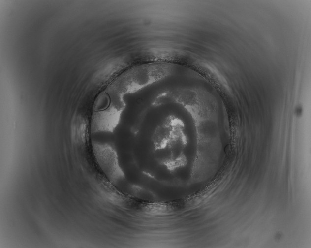 X0000100330123200806121136