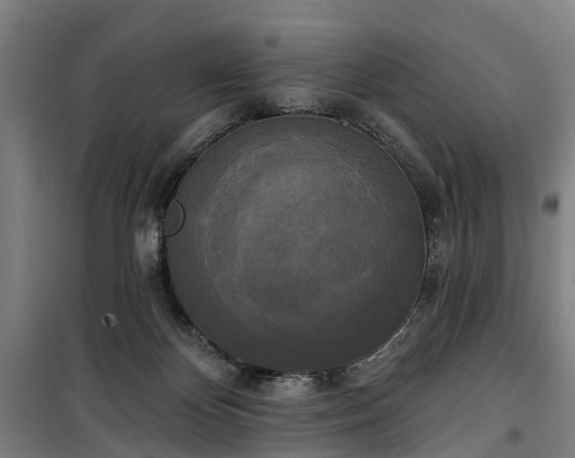 X0000100330124200806121136