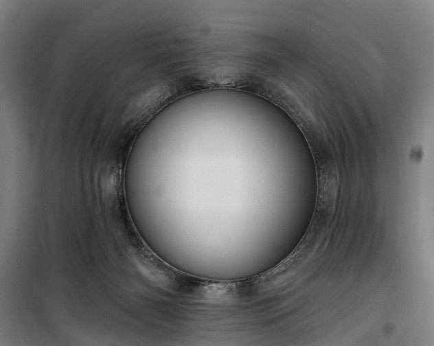 X0000100330126200806121136