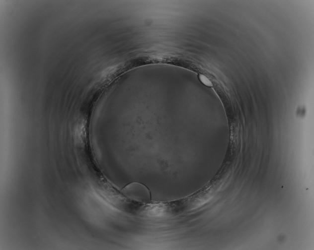 X0000100330127200806121136