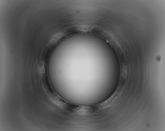 X0000100330128200806121136