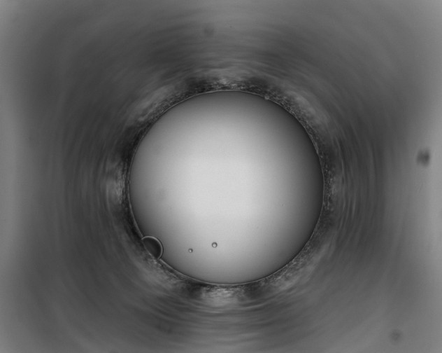 X0000100330129200806121136