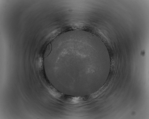 X0000100330130200806121136