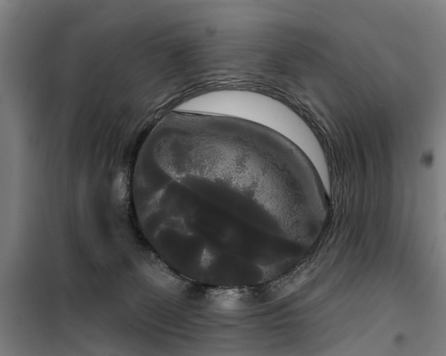 X0000100330131200806121136