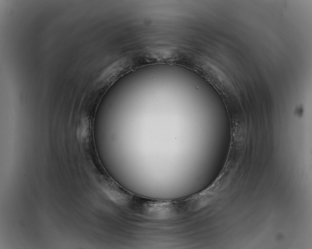 X0000100330132200806121136