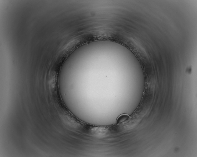 X0000100330133200806121136