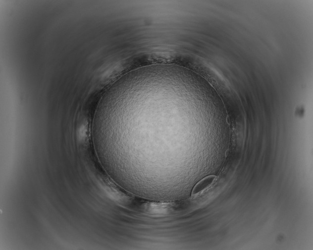 X0000100330134200806121136