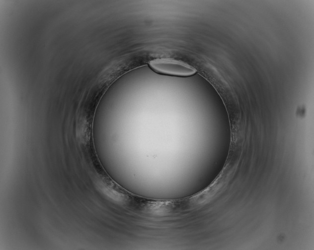 X0000100330136200806121136