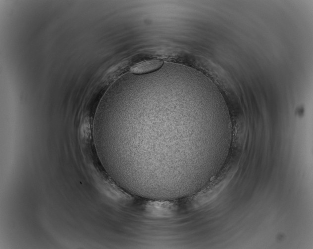 X0000100330137200806121136