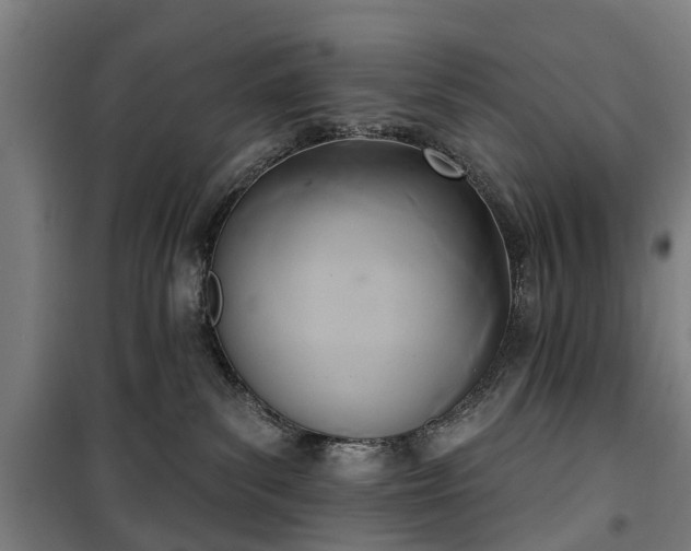 X0000100330139200806121136