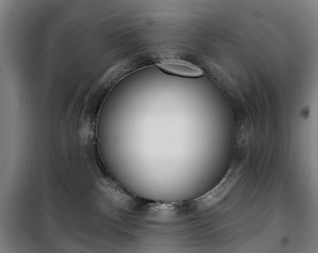 X0000100330140200806121136