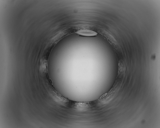 X0000100330141200806121136