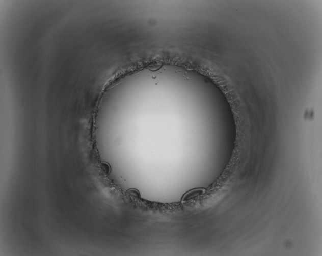 X0000100330144200806121136