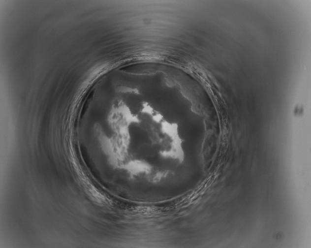 X0000100330145200806121135