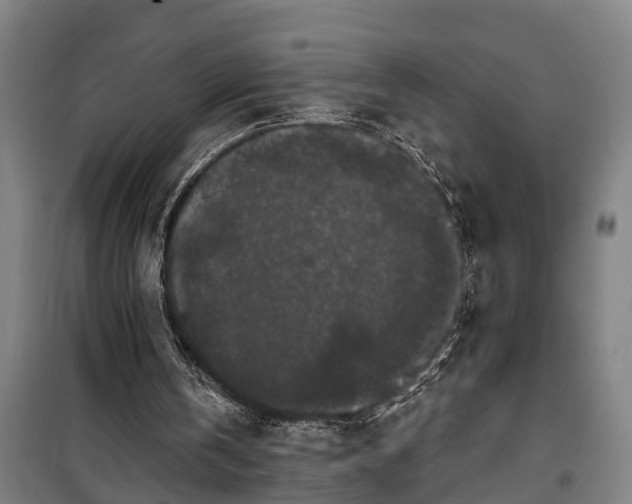 X0000100330146200806121136