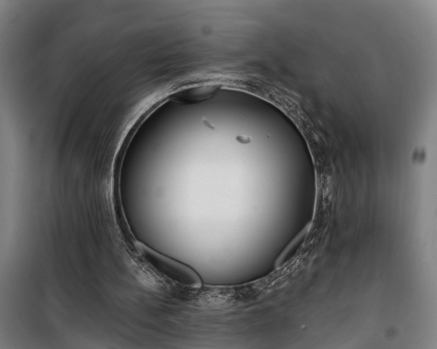 X0000100330148200806121136