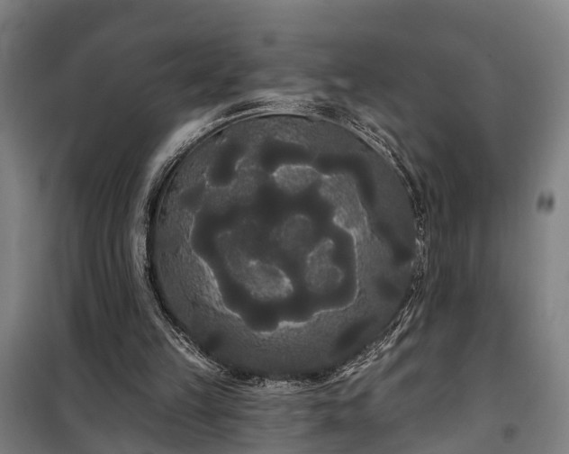 X0000100330149200806121136