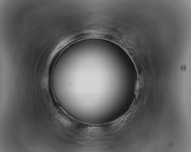 X0000100330150200806121136