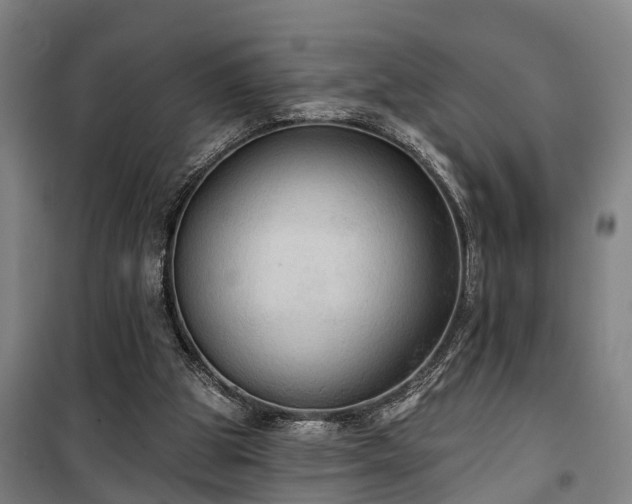 X0000100330153200806121136