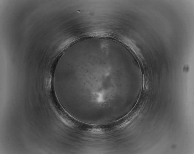 X0000100330157200806121136