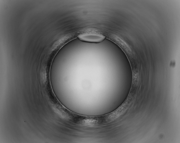 X0000100330158200806121136