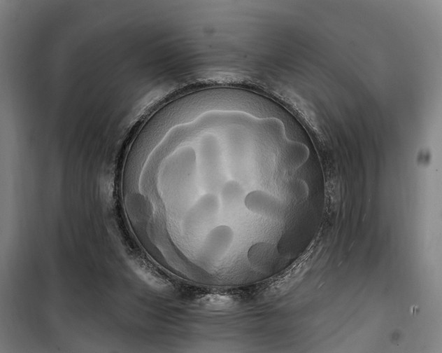 X0000100330159200806121136