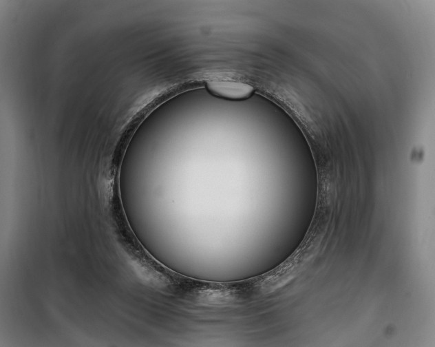 X0000100330160200806121136