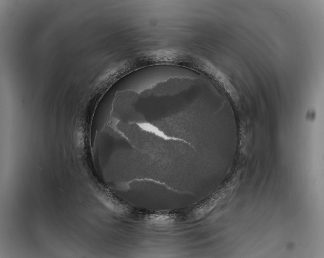 X0000100330161200806121136