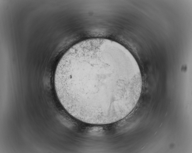 X0000100330162200806121136