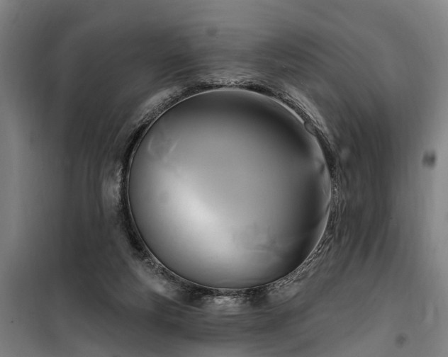 X0000100330163200806121136