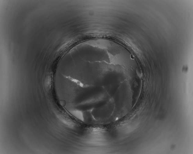 X0000100330165200806121136