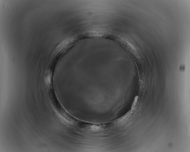 X0000100330166200806121136