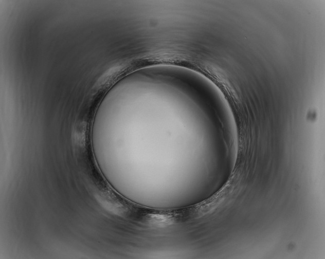 X0000100330167200806121136