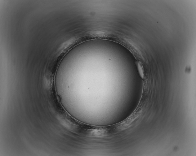 X0000100330168200806121136