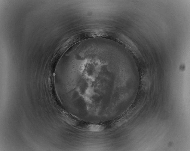 X0000100330169200806121136