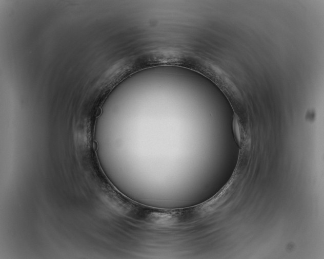 X0000100330170200806121136