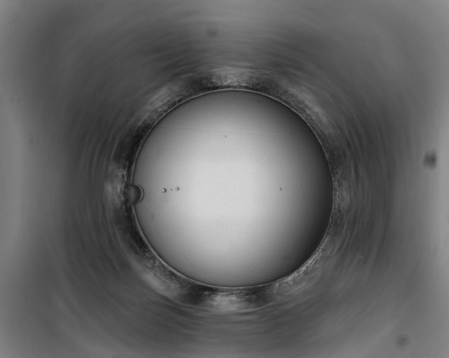 X0000100330171200806121136