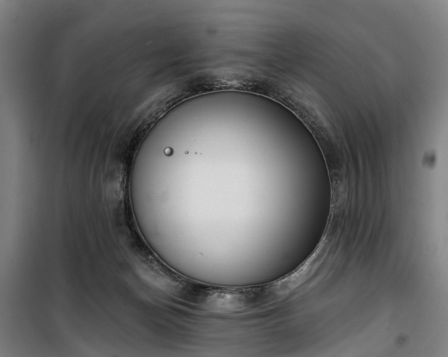 X0000100330174200806121136