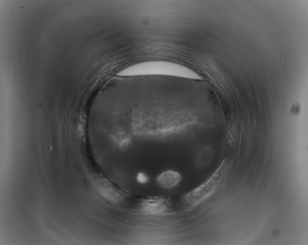 X0000100330175200806121136