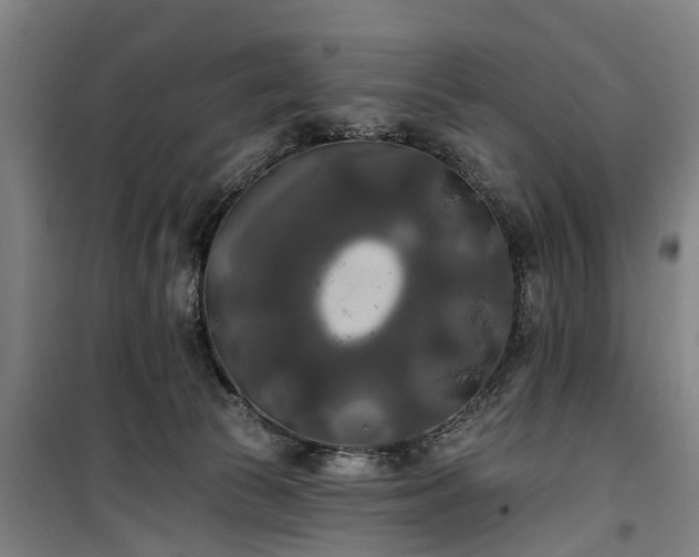 X0000100330177200806121136