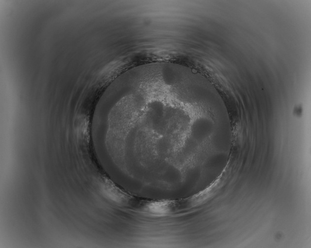 X0000100330178200806121136